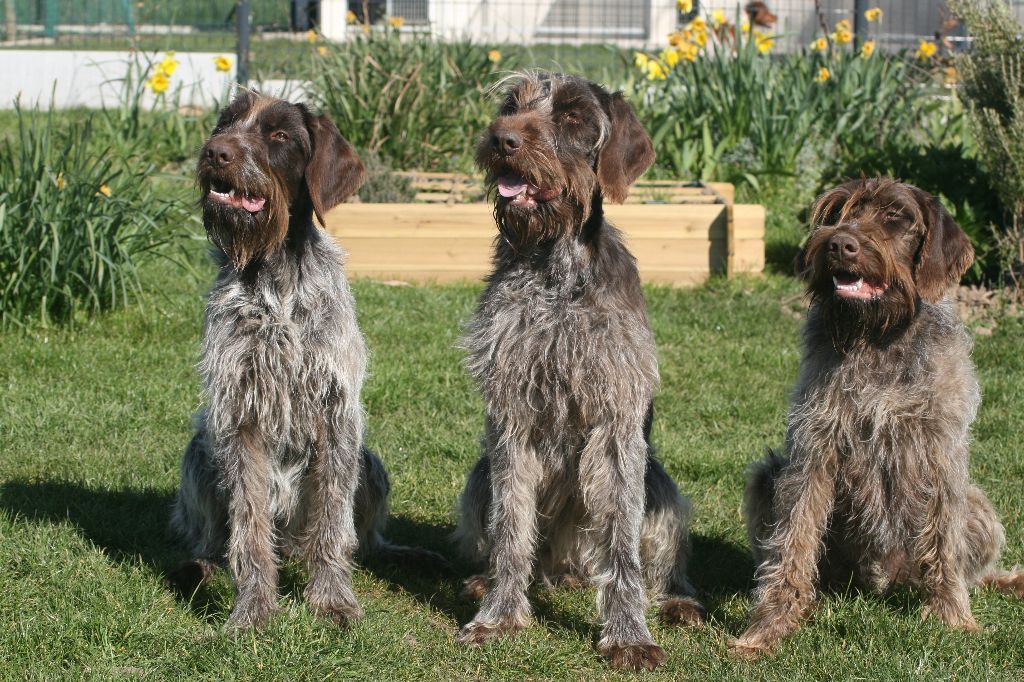 Lilly et  ses filles